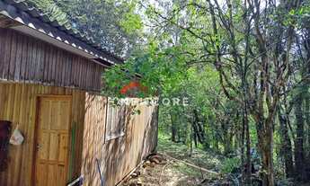 Imagem 3: Sítio em Estrada da Carapina - Vale do Carapina - São Francisco de Paula/RS