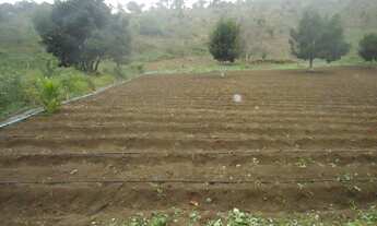 Imagem 3: Fazenda muito boa