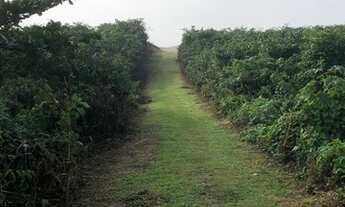 Imagem 4: Kitnet nova, sem fiador em Navegantes