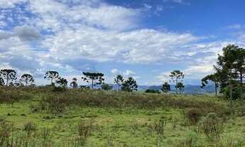 Imagem 6: Urubici/Sítio/Área Rural com 3,00ha de área total, para venda. Pericó, São Joaquim (SC