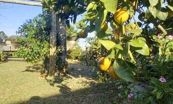 Imagem 4: Casa - Araranguá/SC - Venda/Troca