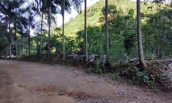 Imagem 5: Terra em Limoeiro rod. V. Nova x Castelo