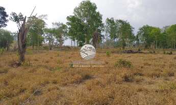 Imagem 3: Venda - Sítio - Machadinho D'Oeste - 19 Alqueires