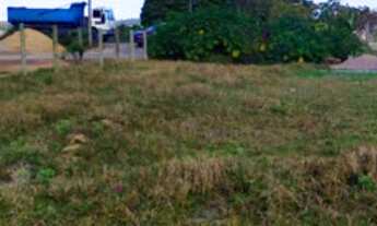 Imagem 3: Área em Imbituba, localizada no bairro Araçatuba de frente para Rodovia