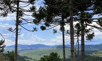 Imagem 2: Urubici/Sítio/Área Rural com 3,00ha de área total, para venda. Pericó, São Joaquim (SC