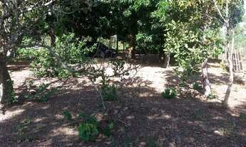 Imagem: Chácara em várzea grande na região do