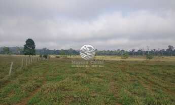 Imagem 7: Venda - Sítio - Machadinho D'Oeste - 30 Alqueires