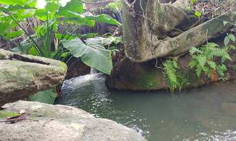 Imagem 6: Chácara em mairipotaba a 80 km de Goiânia com corrego energia chacaras 20.000 metros