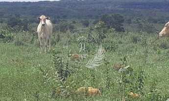 Imagem 3: Fazenda à venda, Rural, TESOURO - MT