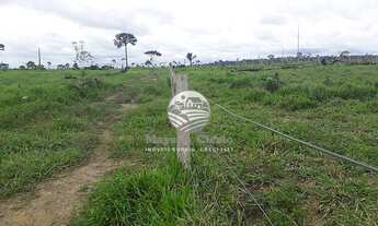 Imagem 6: Venda - Fazenda - Candeias do Jamari - 115 Alqueires Barata