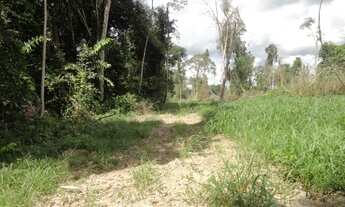 Imagem: Área de Mato de 140 alqueires, 72 km de