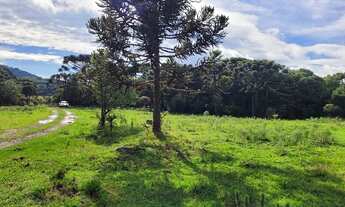 Imagem 6: Urubici/Sítio/Chácara á venda em Urubici