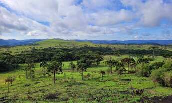 Imagem 7: Urubici/Sítio/Chácara á venda em Urubici