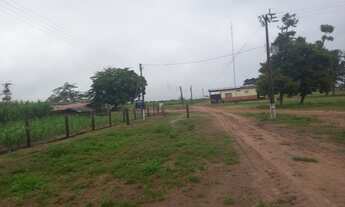 Imagem: FAZENDA 733 ALQUEIRES GUARAI