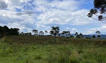 Imagem 4: Urubici/Sítio/Área Rural com 3,00ha de área total, para venda. Pericó, São Joaquim (SC