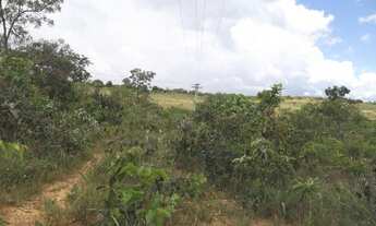 Imagem 6: A 2km do centro, terreno 5ha São Jose do Almeida