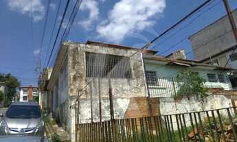 Imagem: Terreno Plano - Parada Inglesa