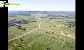 Imagem 6: FAZENDA À VENDA EM TESOURO MT 7.000 HECTARES (DUPLA APTIDÃO