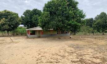 Imagem 2: Vendo/Troco Sitio na sede de alto alegre