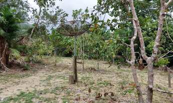 Imagem 6: Sítio pau rosa Chácara com venda por R$30