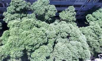 Imagem 5: Anita Garibaldi Apartamento com 3 dormitórios