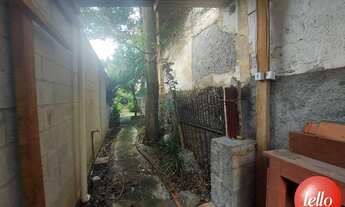 Imagem 6: São Paulo - Terreno Padrão - Casa Verde