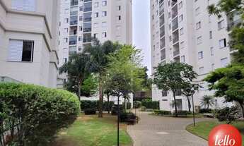 Imagem 4: São Paulo - Apartamento Padrão - São Lucas