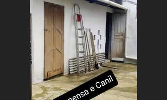 Imagem 7: Aluga-se casa no bairro São Francisco