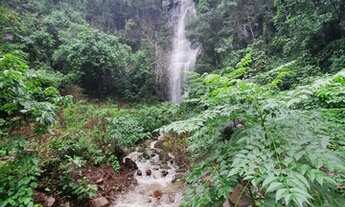 Imagem 4: Sítio Chácara para alto padrão, local especial R$299.500,00