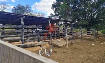 Imagem 4: FAZENDA EM ABADIÂNIA/GO