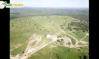 Imagem 3: FAZENDA À VENDA EM TESOURO MT 7.000 HECTARES (DUPLA APTIDÃO
