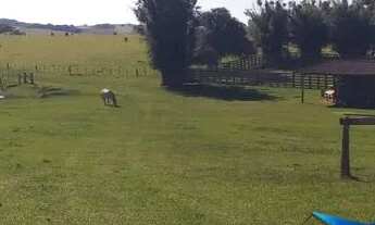 Imagem 7: Velleda oferece excelente fazenda, 175 hectares, para pecuária, Águas Claras, Viamão