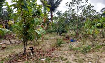 Imagem 5: Sítio pau rosa Chácara com venda por R$30