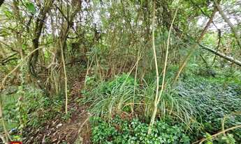 Imagem 5: Terreno para venda Ilha próximo a praias do Norte em Florianópolis