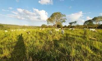 Imagem 3: Fazenda 180 hectares