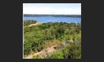 Imagem 2: LOTE SERRA DA MESA URUAÇU