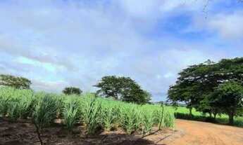 Imagem 5: Área à venda, 350900 m² por R$ 15.500.000,00 - Rodovia - Cedral/SP