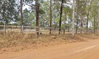 Imagem 4: Imóvel para venda com 2000 metros quadrados em Campos Dourados - Aragoiânia - GO