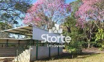 Imagem 15: Fazenda à venda de PORTEIRA FECHADA, 6 alqueires por R$ 4.500.000 - Zona Rural - Catalão/G