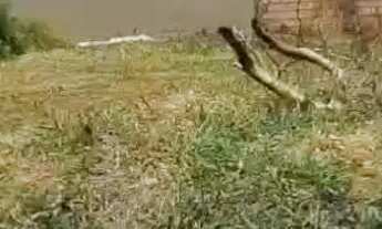 Imagem 5: Vende-se 2 casas ?terrenos do lado