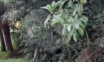 Imagem 2: Terreno à venda em Caraguatá - SP