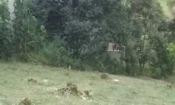 Imagem 3: Lote em condomínio em Rua Maria de Lourdes Pereira - Barreiro - Mairiporã/SP