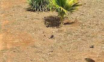 Imagem 6: Vendo lote. Faço trocas