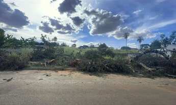 Imagem: Lote 384,60m² (Proximo Avenida Brasil)