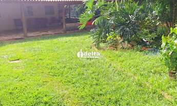 Imagem: Chácara disponível para venda no bairro