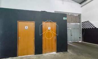 Imagem 3: Comercial GalpãoBarracão em Marília