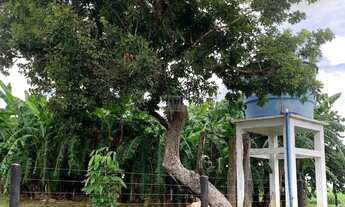 Imagem 7: ÁREA - RODOVIA GO, URUAÇU/GO