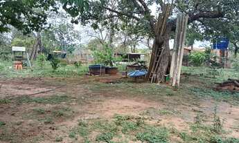 Imagem 4: Chácara em Mirabela mg