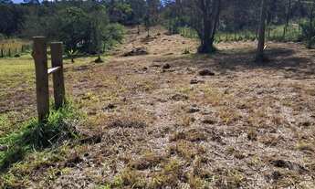 Imagem 4: Sitio Na faixa de taquara pd 104