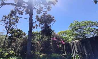 Imagem 7: Terreno para venda possui 11.452 metros quadrados, em Vargem Grande - Florianópolis - SC